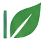 TOC